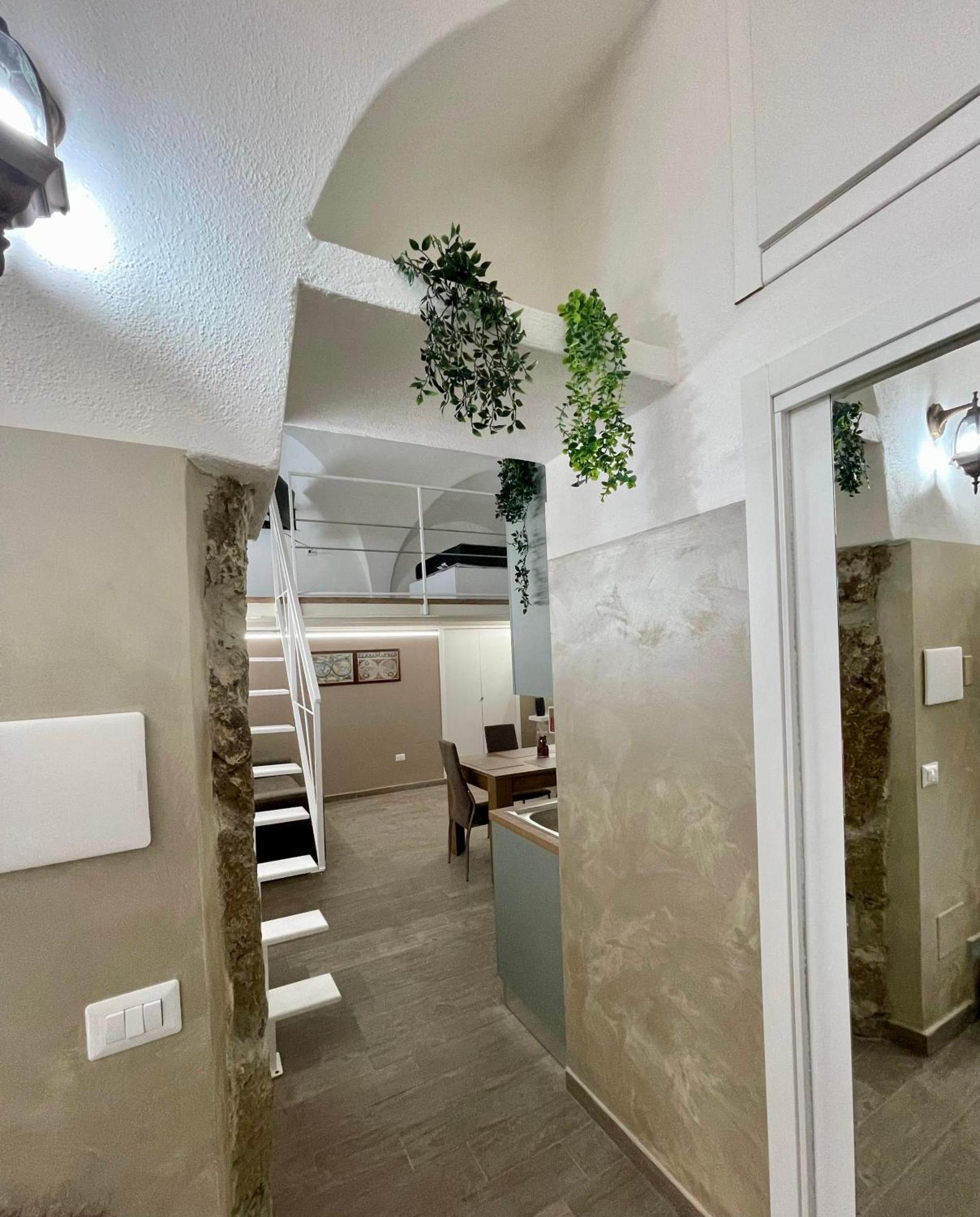 House Karol Apartment *
